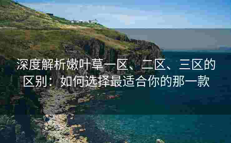 深度解析嫩叶草一区、二区、三区的区别：如何选择最适合你的那一款