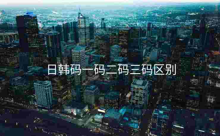 日韩码一码二码三码区别