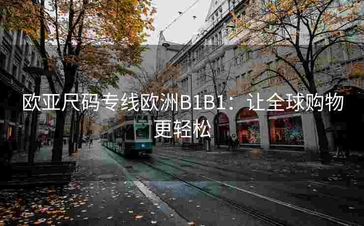欧亚尺码专线欧洲B1B1：让全球购物更轻松